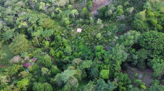Vendo finca en Altos del Socorro Hojancha Guanacaste 