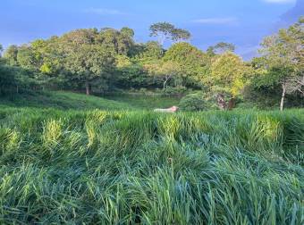 Vendo finca en Altos del Socorro Hojancha Guanacaste 