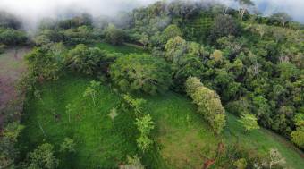 Vendo finca en Altos del Socorro Hojancha Guanacaste 