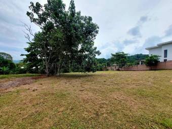 Venta de Lote en Mora-Colón. RAH 27-384