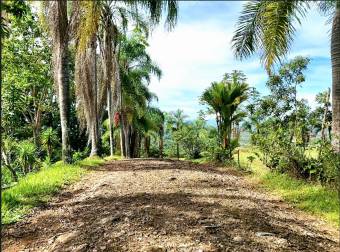 SE VENDE MACROFINCA CON VISTAS PANORAMICAS Y AUTONOMIA HIDRICA EN MIRAVALLES