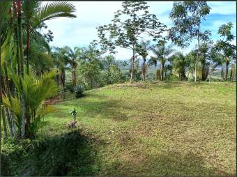 SE VENDE MACROFINCA CON VISTAS PANORAMICAS Y AUTONOMIA HIDRICA EN MIRAVALLES