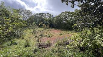 VENTA DE FINCA DE 8.1 HA CON DOS CASAS Y FRENTE DE RIO EN LAS MESAS, PEREZ ZELEDON