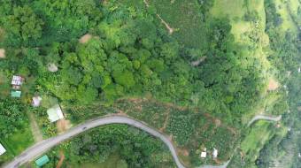 VENTA DE FINCA DE 8.1 HA CON DOS CASAS Y FRENTE DE RIO EN LAS MESAS, PEREZ ZELEDON