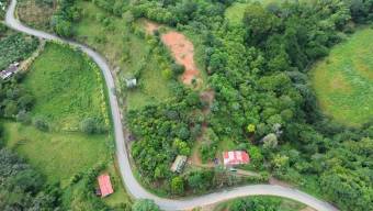 VENTA DE FINCA DE 8.1 HA CON DOS CASAS Y FRENTE DE RIO EN LAS MESAS, PEREZ ZELEDON