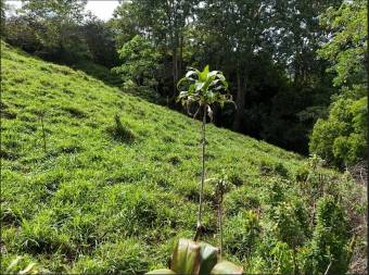 SE VENDE QUINTA CON ARROYO NATURAL Y VISTAS PANORAMICAS