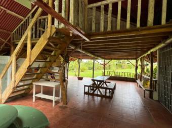VENTA DE QUINTA DE 5.000 M2 CON ACCESO AL RIO PEÑAS BLANCAS Y RANCHO EN SANTA ELENA, PEREZ ZELEDON