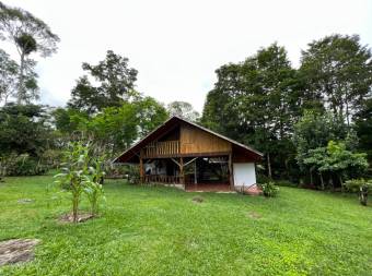 VENTA DE QUINTA DE 5.000 M2 CON ACCESO AL RIO PEÑAS BLANCAS Y RANCHO EN SANTA ELENA, PEREZ ZELEDON