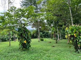 VENTA DE QUINTA DE 5.000 M2 CON ACCESO AL RIO PEÑAS BLANCAS Y RANCHO EN SANTA ELENA, PEREZ ZELEDON