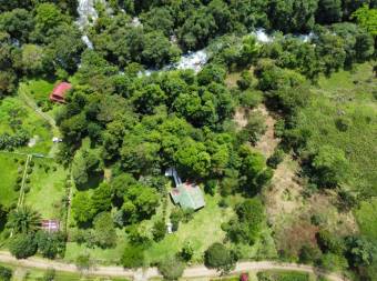 VENTA DE QUINTA DE 5.000 M2 CON ACCESO AL RIO PEÑAS BLANCAS Y RANCHO EN SANTA ELENA, PEREZ ZELEDON