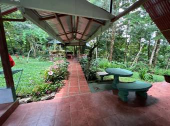 VENTA DE QUINTA DE 5.000 M2 CON ACCESO AL RIO PEÑAS BLANCAS Y RANCHO EN SANTA ELENA, PEREZ ZELEDON