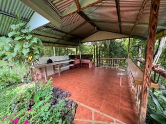 VENTA DE QUINTA DE 5.000 M2 CON ACCESO AL RIO PEÑAS BLANCAS Y RANCHO EN SANTA ELENA, PEREZ ZELEDON