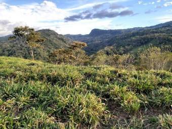 Venta de Lote en Desamparaditos de Puriscal. RAH 27-397