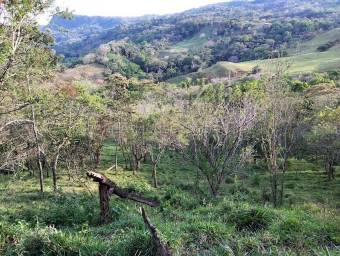 Venta de Lote en Desamparaditos de Puriscal. RAH 27-397