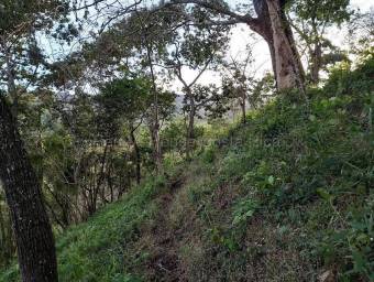 Venta de Lote en Desamparaditos de Puriscal. RAH 27-397