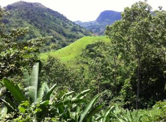 Venta de Lote en Desamparaditos de Puriscal. RAH 27-397