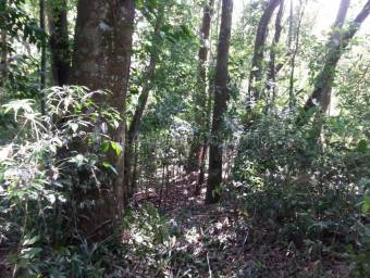 Venta de Lote en Desamparaditos de Puriscal. RAH 27-397