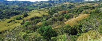 Venta de Lote en Desamparaditos de Puriscal. RAH 27-397