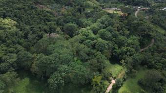 VENTA DE LOTE RESIDENCIAL Y TURISTICO EN SAN FRANCISCO DE RIVAS, PEREZ ZELEDON