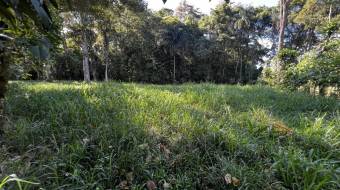 VENTA DE LOTE RESIDENCIAL Y TURISTICO EN SAN FRANCISCO DE RIVAS, PEREZ ZELEDON