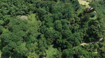 VENTA DE LOTE RESIDENCIAL Y TURISTICO EN SAN FRANCISCO DE RIVAS, PEREZ ZELEDON