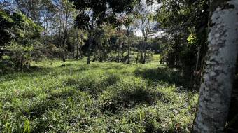 VENTA DE LOTE RESIDENCIAL Y TURISTICO EN SAN FRANCISCO DE RIVAS, PEREZ ZELEDON