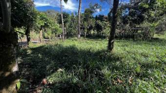 VENTA DE LOTE RESIDENCIAL Y TURISTICO EN SAN FRANCISCO DE RIVAS, PEREZ ZELEDON