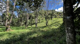 VENTA DE LOTE RESIDENCIAL Y TURISTICO EN SAN FRANCISCO DE RIVAS, PEREZ ZELEDON