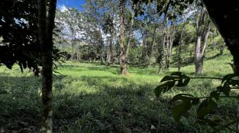 VENTA DE LOTE RESIDENCIAL Y TURISTICO EN SAN FRANCISCO DE RIVAS, PEREZ ZELEDON