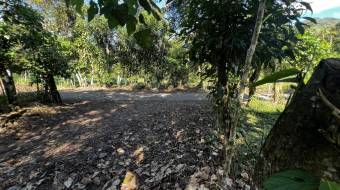 VENTA DE LOTE RESIDENCIAL Y TURISTICO EN SAN FRANCISCO DE RIVAS, PEREZ ZELEDON