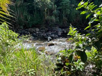 VENTA DE QUINTA DE 4.343 M2 CON FRENTE DE RIO Y SERVICIOS EN CONVENTO, PEREZ ZELEDON