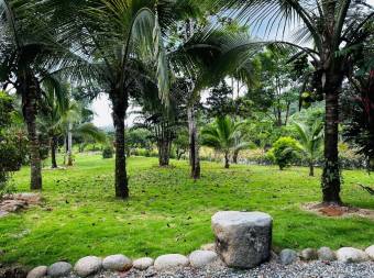 VENTA DE QUINTA DE 4.343 M2 CON FRENTE DE RIO Y SERVICIOS EN CONVENTO, PEREZ ZELEDON