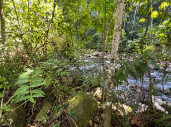 VENTA DE QUINTA DE 4.343 M2 CON FRENTE DE RIO Y SERVICIOS EN CONVENTO, PEREZ ZELEDON