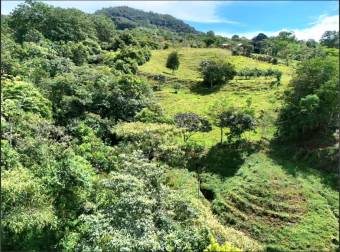 SE VENDE QUINTA EN MIRAVALLES CON HERMOSAS VISTAS Y PLANTEL LISTO PARA CONSTRUIR