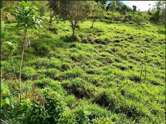 SE VENDE QUINTA EN MIRAVALLES CON HERMOSAS VISTAS Y PLANTEL LISTO PARA CONSTRUIR