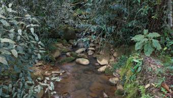 VENTA DE FINCA AGRICOLA DE 6,74 HA CON PALMA AFRICANA EN SAN PEDRO, PEREZ ZELEDON