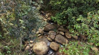 VENTA DE FINCA AGRICOLA DE 6,74 HA CON PALMA AFRICANA EN SAN PEDRO, PEREZ ZELEDON