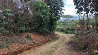 VENTA DE FINCA AGRICOLA DE 6,74 HA CON PALMA AFRICANA EN SAN PEDRO, PEREZ ZELEDON