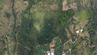 VENTA DE FINCA AGRICOLA DE 6,74 HA CON PALMA AFRICANA EN SAN PEDRO, PEREZ ZELEDON