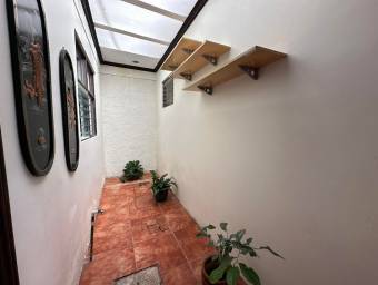Oasis en plena ciudad 