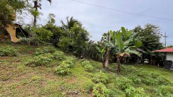 SE VENDE PROPIEDAD MIXTA COMERCIAL Y RESIDENCIAL SOBRE INTERAMERICANA