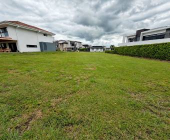 Lote 100% plano de 927 m2 a la venta en Ciudad Hacienda Los Reyes, en el exclusivo condominio Madero