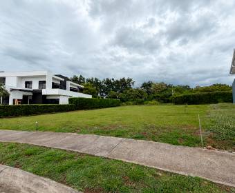 Lote 100% plano de 927 m2 a la venta en Ciudad Hacienda Los Reyes, en el exclusivo condominio Madero