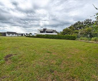 Lote 100% plano de 927 m2 a la venta en Ciudad Hacienda Los Reyes, en el exclusivo condominio Madero