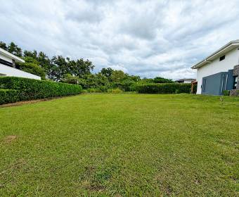 Lote 100% plano de 927 m2 a la venta en Ciudad Hacienda Los Reyes, en el exclusivo condominio Madero