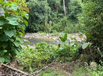 SE VENDE TERRENO LISTO PARA CONSTRUIR CERCA DE LA PLAYA Y JUNTO AL RIO SE VENDE TERRENO LISTO PARA CONSTRUIR CERCA DE LA PLAYA Y JUNTO AL RIO