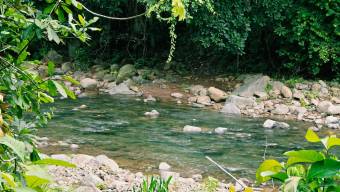 SE VENDE TERRENO LISTO PARA CONSTRUIR CERCA DE LA PLAYA Y JUNTO AL RIO SE VENDE TERRENO LISTO PARA CONSTRUIR CERCA DE LA PLAYA Y JUNTO AL RIO