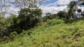 VENTA DE LOTE DE 272 M2 EN TRES RIOS, PEREZ ZELEDON IDEAL PARA AIRBNB O CABAÑA