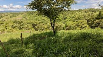 VENTA DE LOTE DE 272 M2 EN TRES RIOS, PEREZ ZELEDON IDEAL PARA AIRBNB O CABAÑA