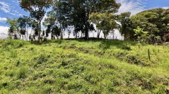 VENTA DE LOTE DE 272 M2 EN TRES RIOS, PEREZ ZELEDON IDEAL PARA AIRBNB O CABAÑA